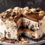 Buster Bar Ice Cream Cake