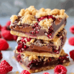 Chocolate Raspberry Crumb Bars