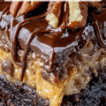 Irresistible German Chocolate Poke Cake Recipe
