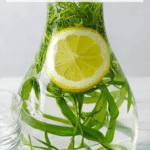 Flat Tummy Water Recipe