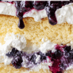 Sheet Pan Blueberry Shortcake Recipe