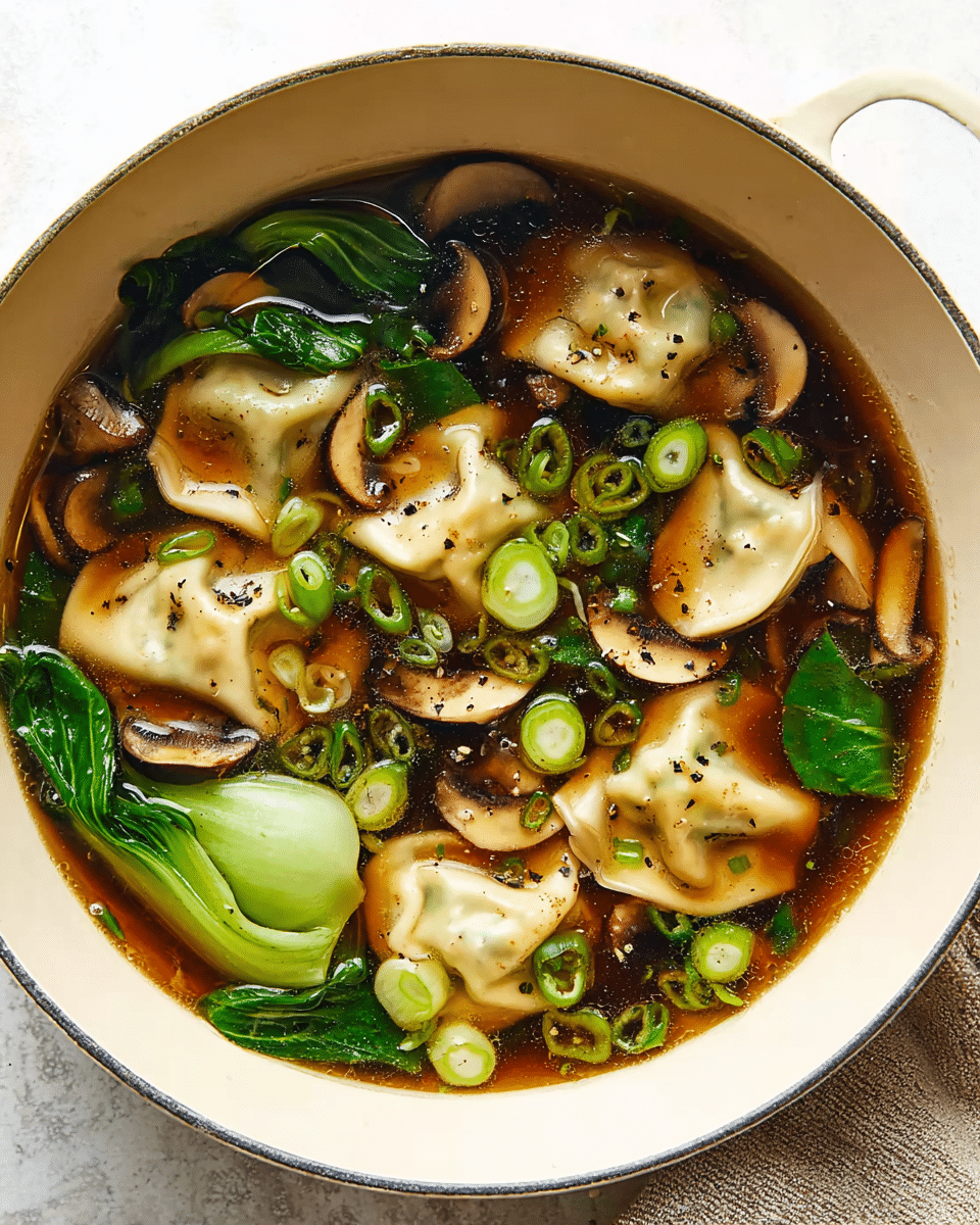 POTSTICKER SOUP Recipe