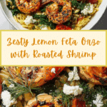 Lemon Feta Orzo Shrimp Recipe