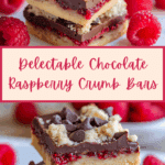 Chocolate Raspberry Crumb Bars Recipe