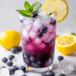 Blueberry Soda Recipe