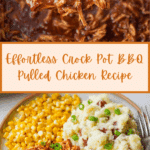 Crock Pot BBQ Chicken Recipe