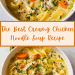 The Best Creamy Chicken Noodle Soup Recipe