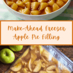 Freezer Apple Pie Filling Recipe