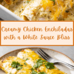the best Chicken Enchiladas with Sour Cream White Sauce Recipe