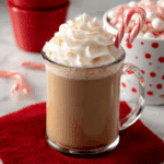Crockpot Peppermint Hot Chocolate Recipe