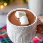 Crockpot Hot Chocolate Recipe