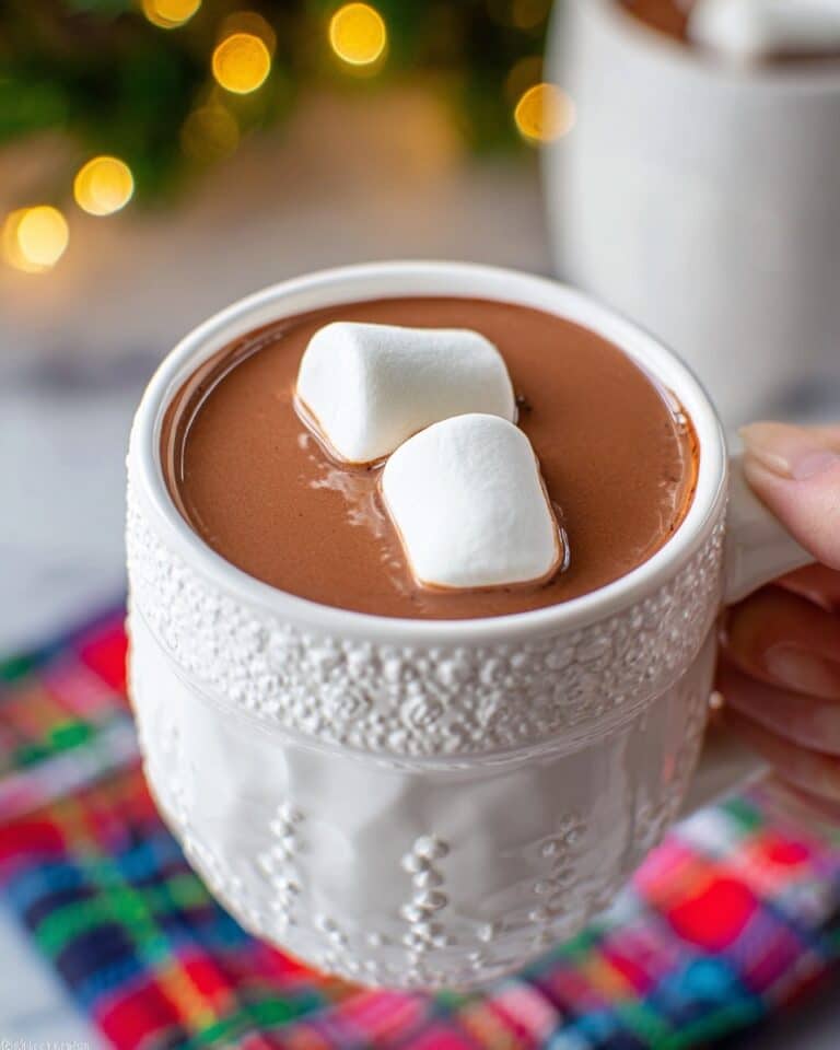 Crockpot Hot Chocolate Recipe