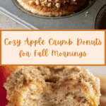 Easy Baked Apple Crumb Donuts Recipe