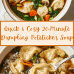 Easy Asian Dumpling Potsticker Soup Recipe
