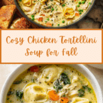 Chicken Tortellini Soup Recipe
