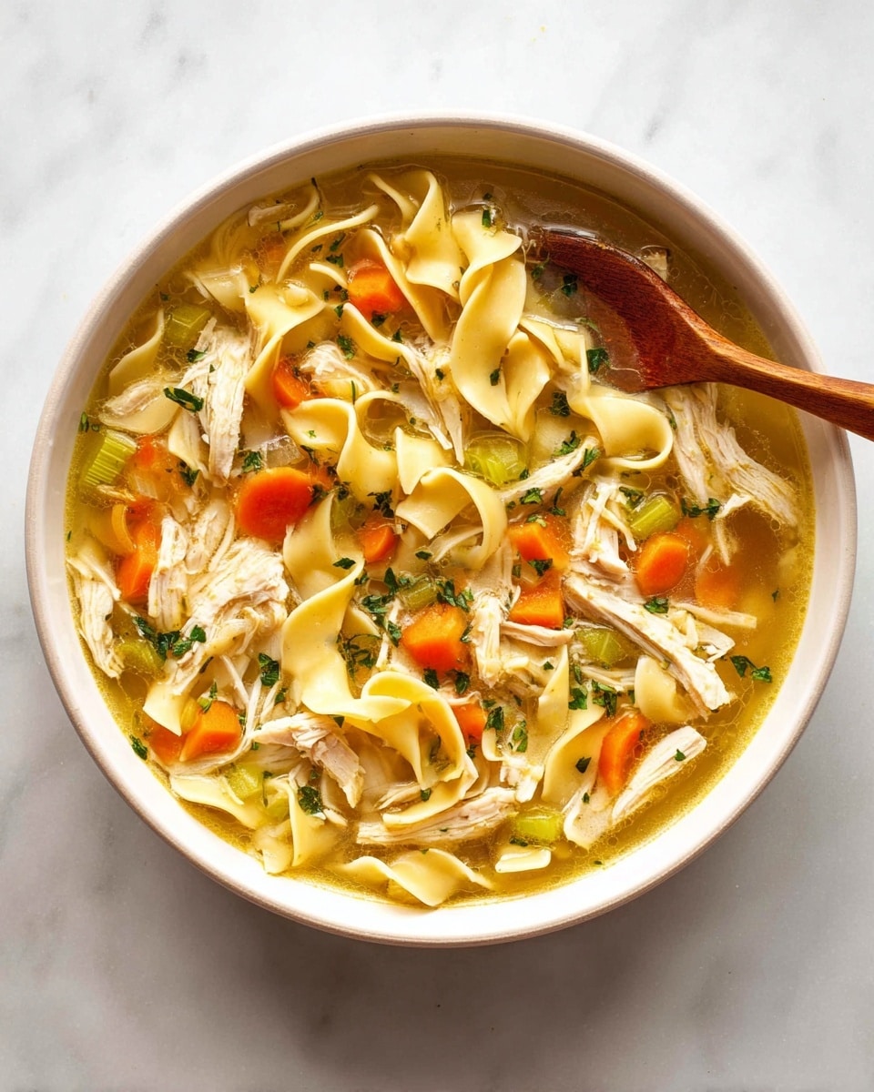 Chicken Noodle Soup Recipe