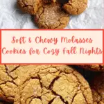 Super Soft Molasses Cookies Recipe