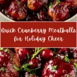 Quick Cranberry Meatballs Recipe