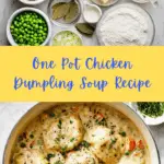One Pot Chicken Dumpling Soup Recipe