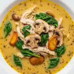 Rotisserie Chicken Mushroom Soup Recipe