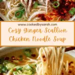 Aromatic Ginger Scallion Chicken Noodle Soup Recipe