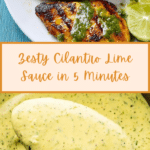 Cilantro Lime Sauce Recipe