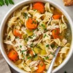Easy Rotisserie Chicken Noodle Soup Recipe