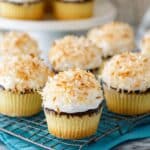 Coconut Macaroon Cupcakes Recipe