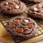 Chocolate Chocolate Chunk Cookies Recipe