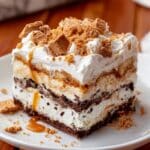 Biscoff Ice Cream Sandwich Cake Recipe