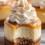 Mini Cheesecakes with Caramel Sauce Recipe