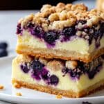 Blueberry Crumb Bars Recipe