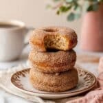 Baked Cinnamon Sugar Donuts Recipe