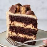Chocolate Peanut Butter Cake Recipe