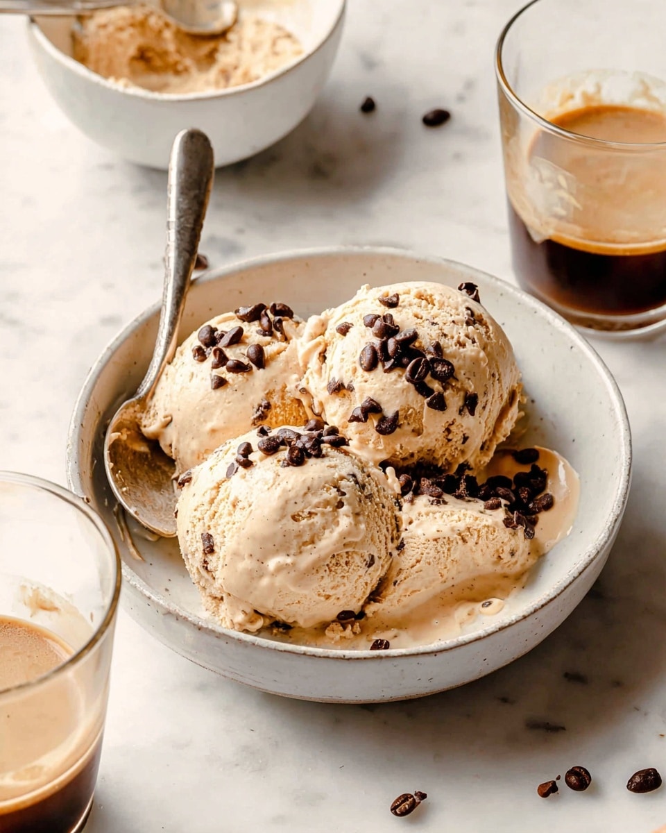 Espresso Chocolate Chip Ice Cream Recipe