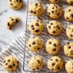 Chocolate Chip Mini Muffins Recipe