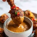 Satay Chicken Legs with Peanut Sauce Recipe